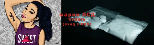 стафф Алзамай