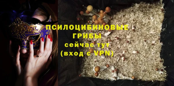 винт Алексин