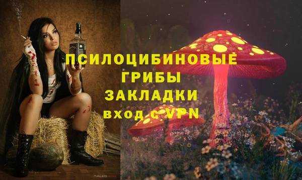 винт Алексин